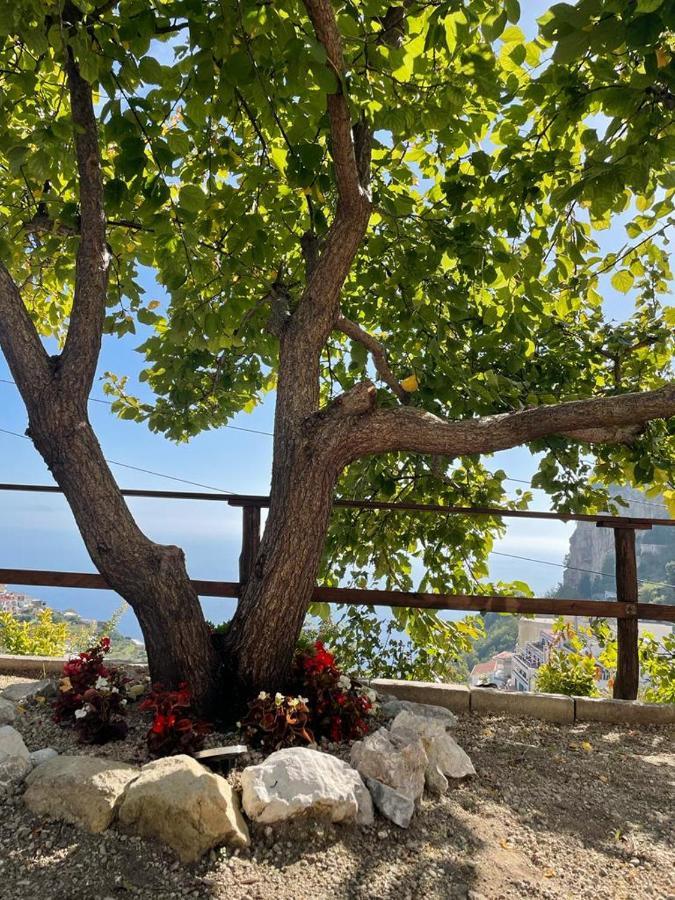 La Villa Di Enzo Casa Vacanze Con Vista Mare Amalfi Exterior foto